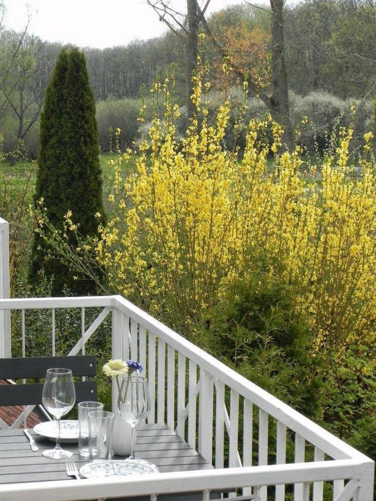 Ferienwohnung-Nils-Holgerson-Mit-Balkon-Zwischen-Strand-Wald-Wiese-Im-Suedosten-Der-Insel-Ruegen Gustow  Экстерьер фото
